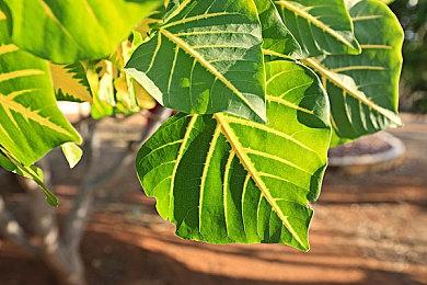 索尼裁员近90名PS业务营销人员 将着手关闭采购部门